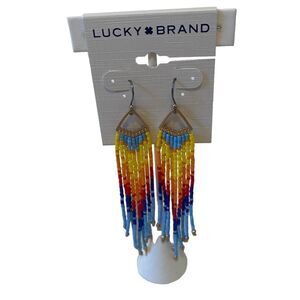 Multi-Colored Beaded Long Fringe Earrings.